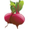 Beets