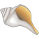 Whelk
